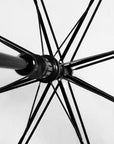 Clear Dome Auto Open Umbrella