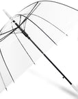 Clear Dome Auto Open Umbrella