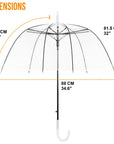 Clear Dome Auto Open Umbrella