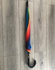 Rainbow Walking Stick Crook Long Umbrella
