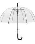 Full Clear Dome Auto Open Umbrella